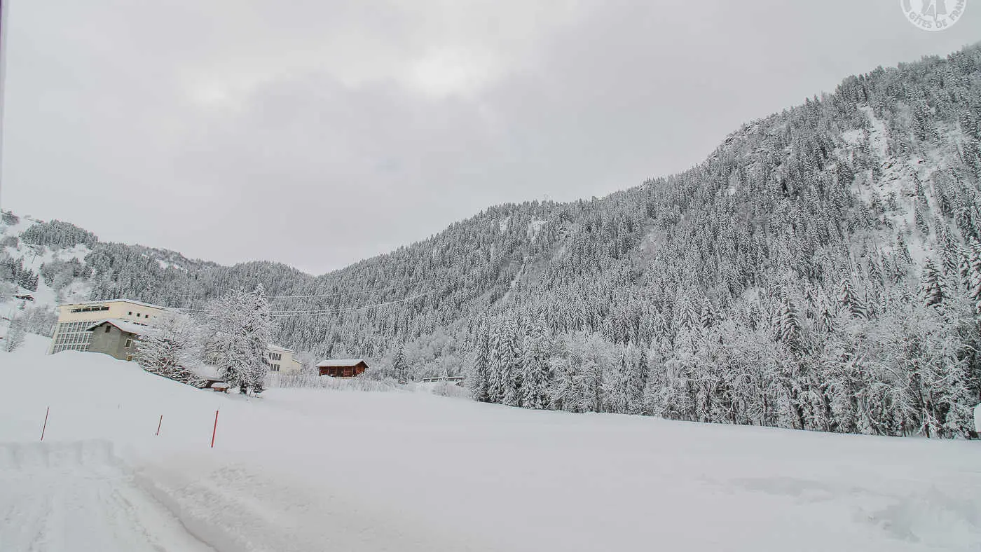 73G132341 - CHALET BELLEVILLE - HAUTELUCE