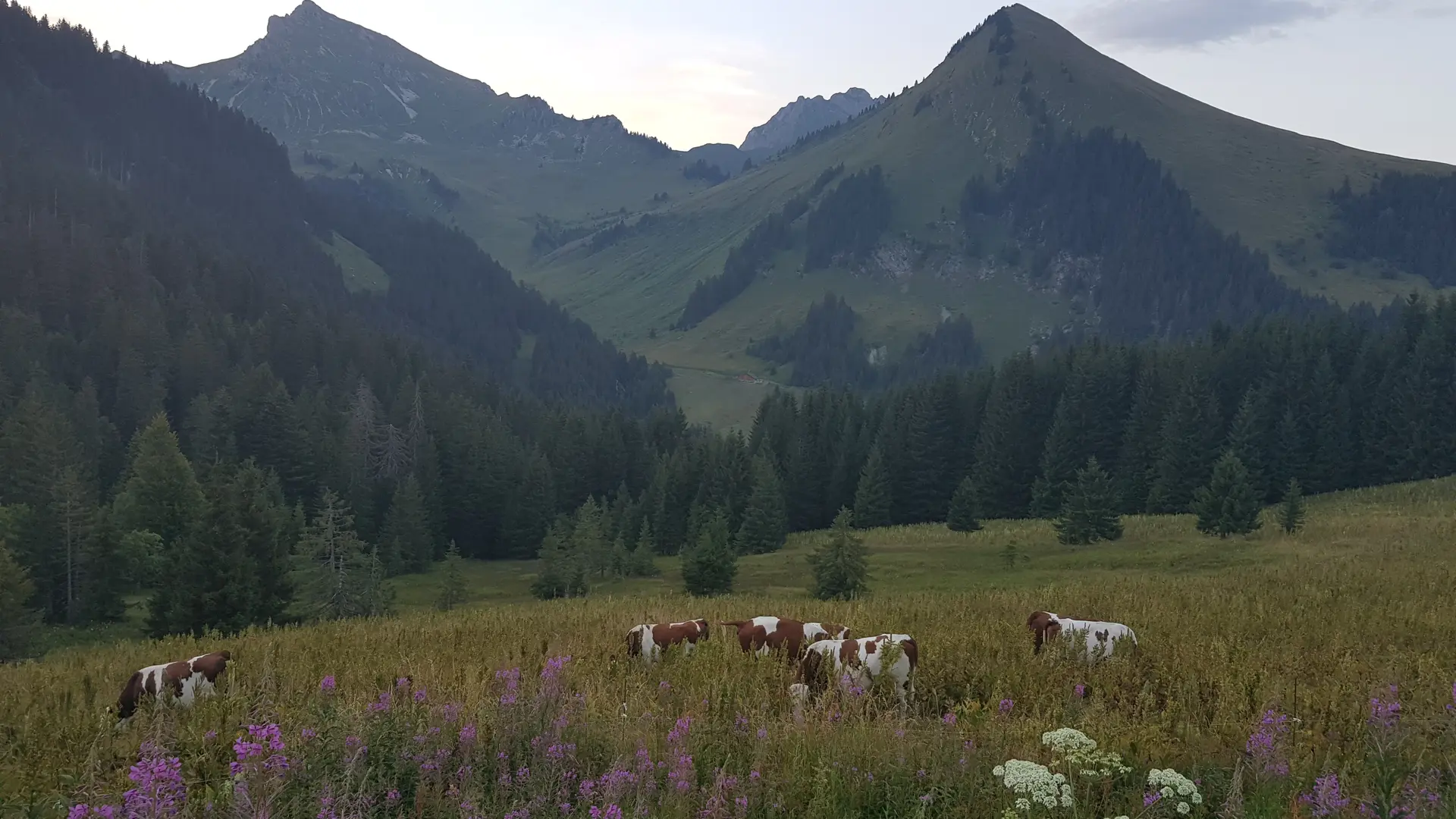 Chalet en été