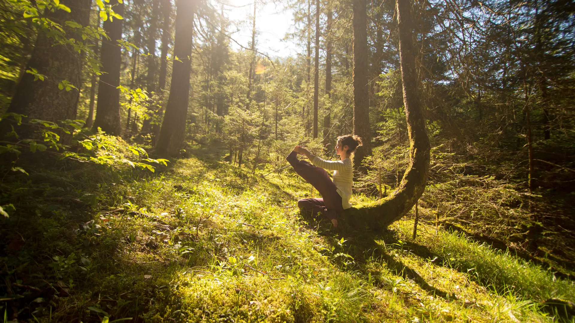 Hatha Yoga avec Orélia