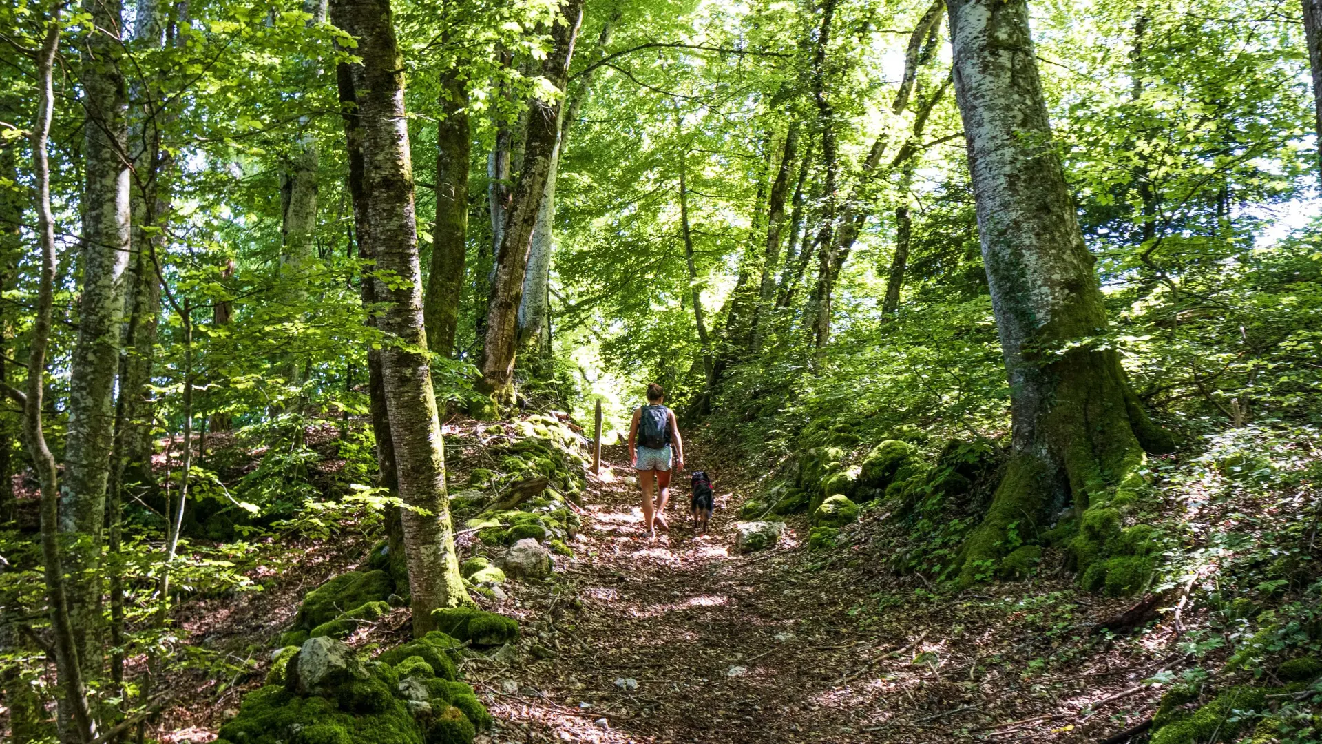 sentier