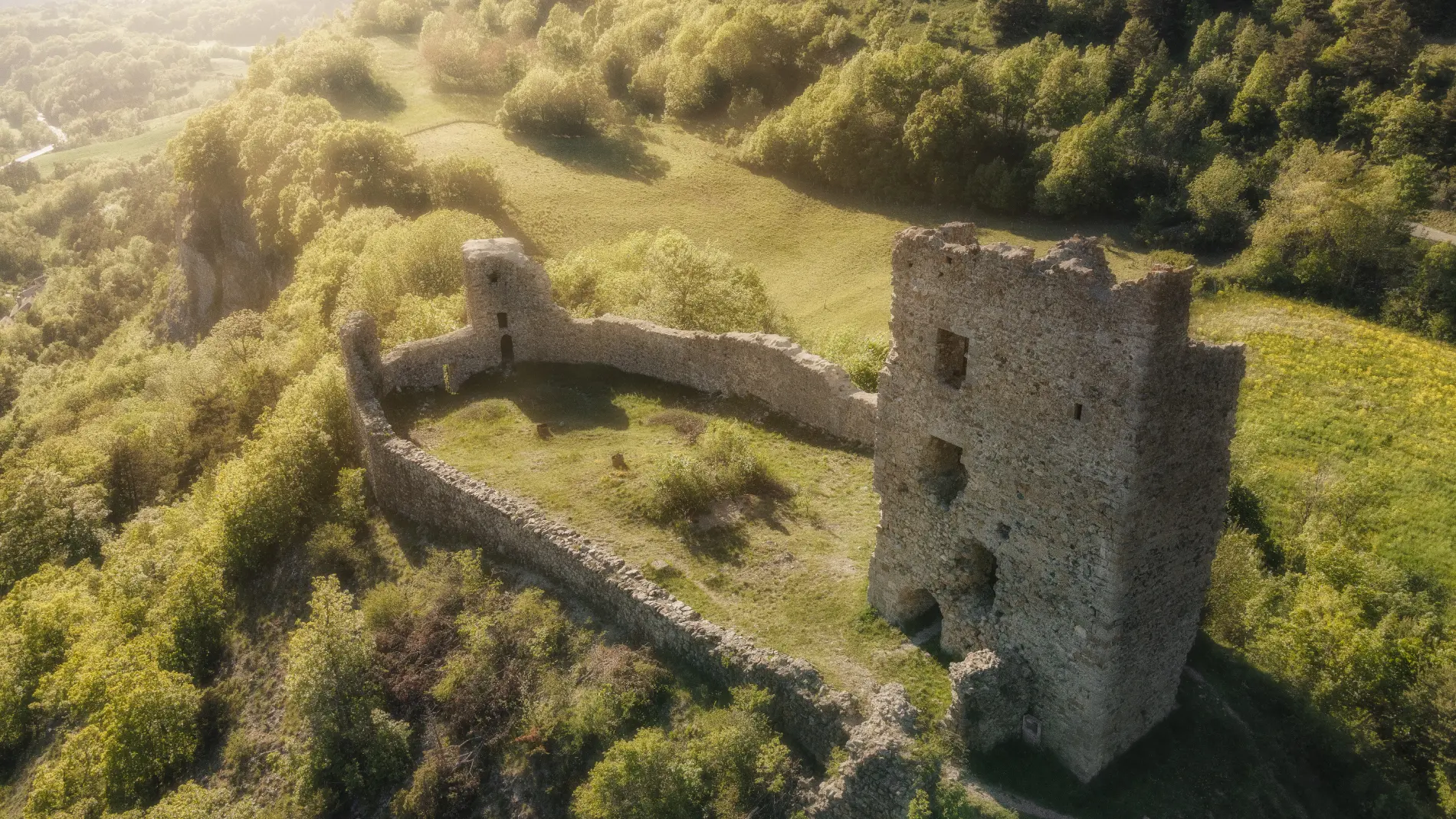 Château fort de St Firmin