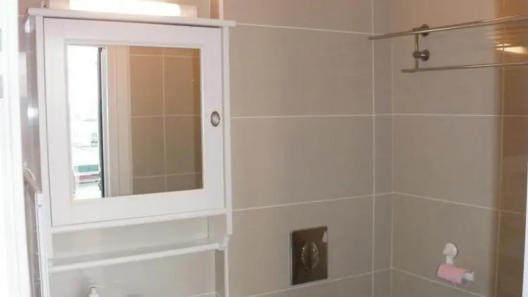 Salle de bains avec douche et WC