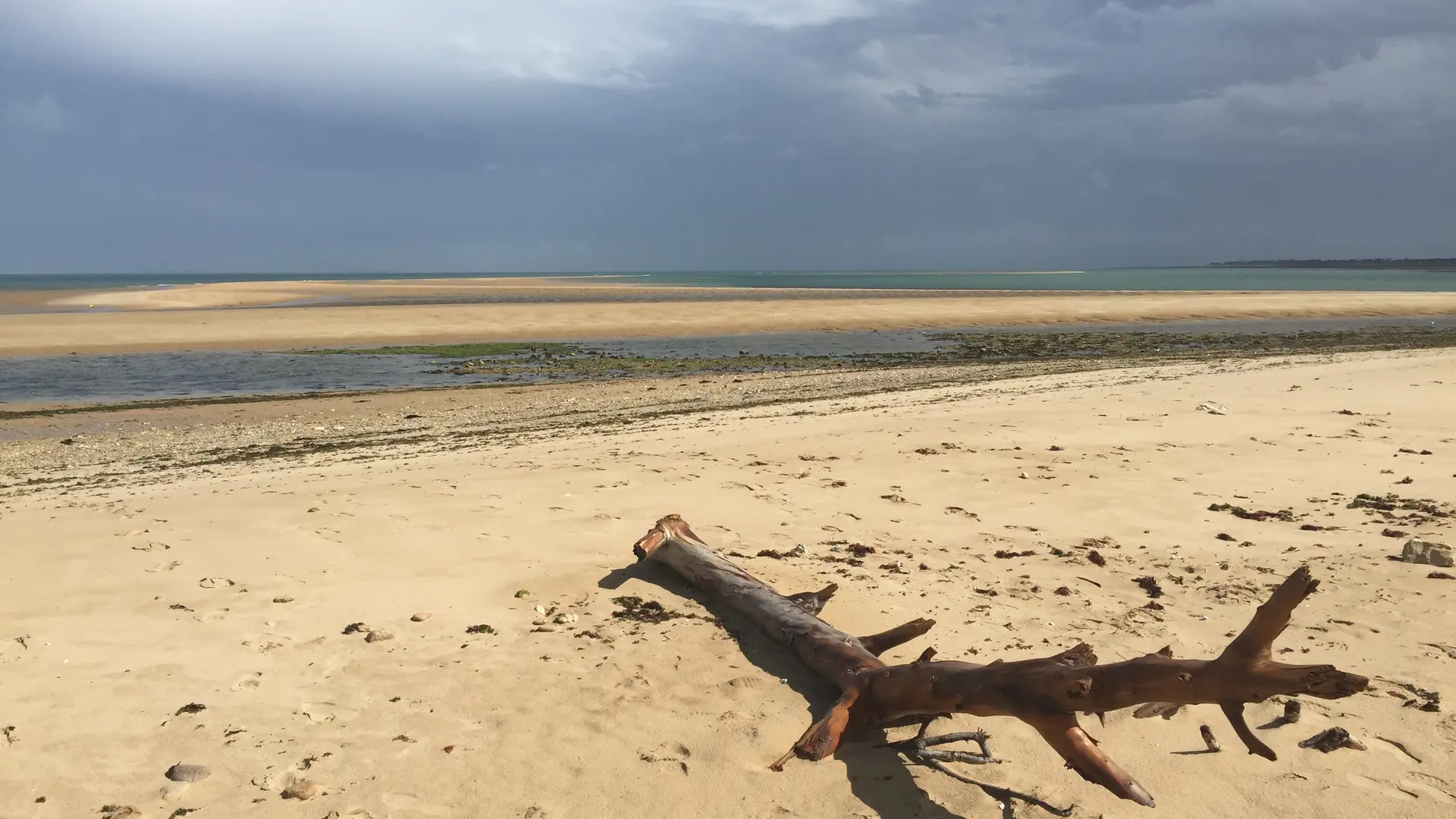 El Banc du Bûcheron antes de una gran sesión de kitesurf en marea baja