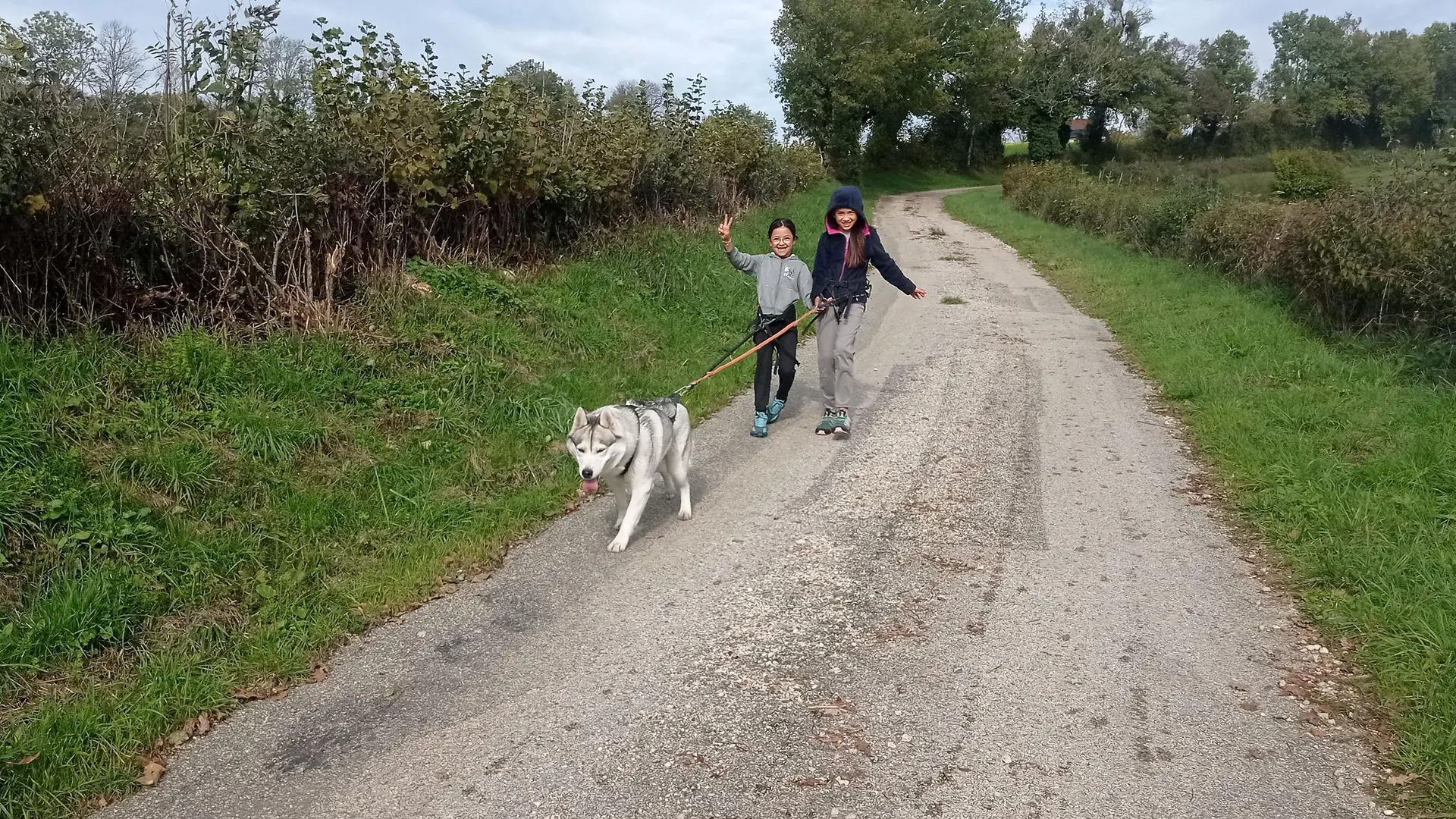 Balade tractée par les chiens avec Lisa Plaza