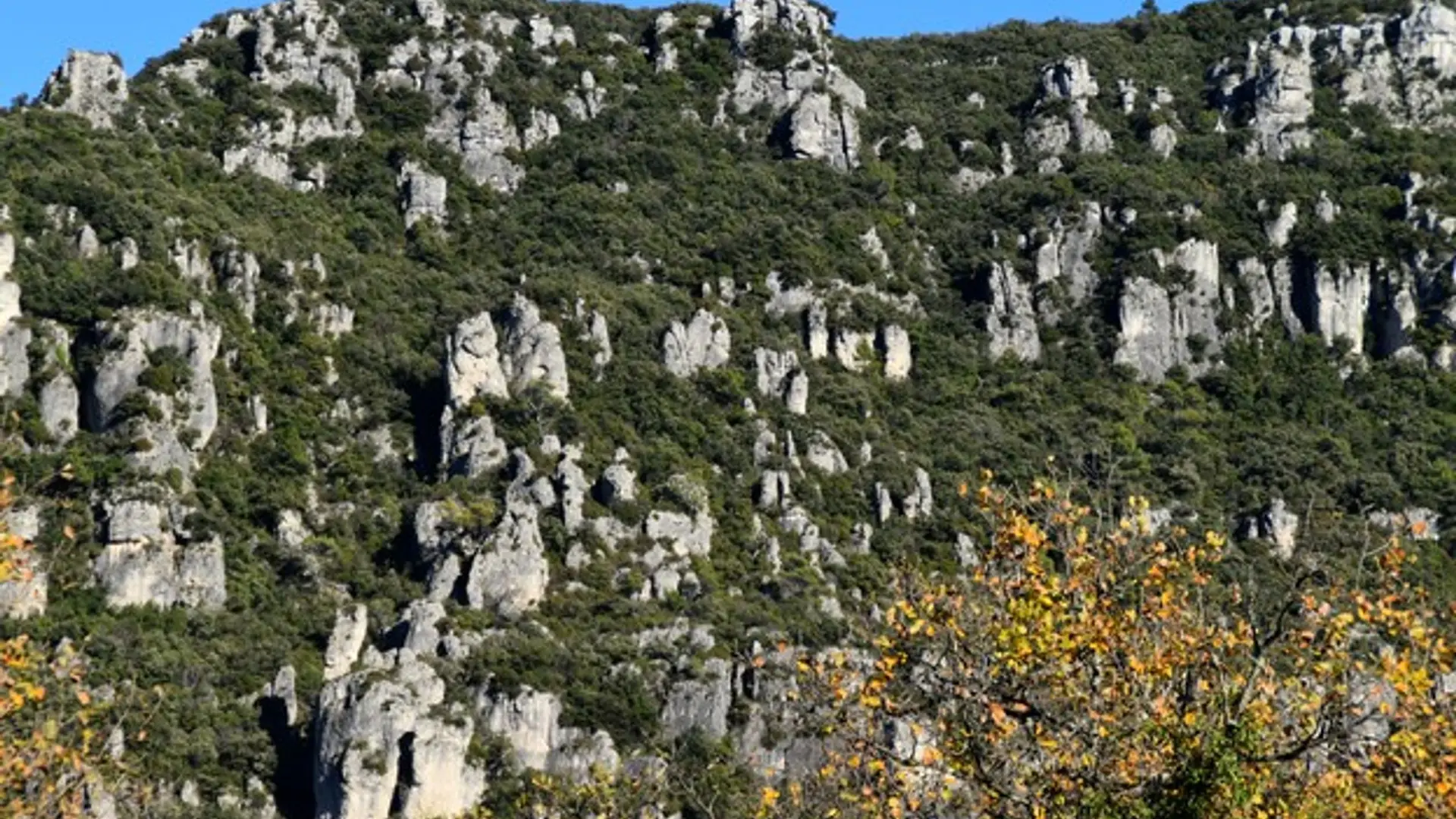 Rochers des Friginiaires