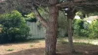 jardín