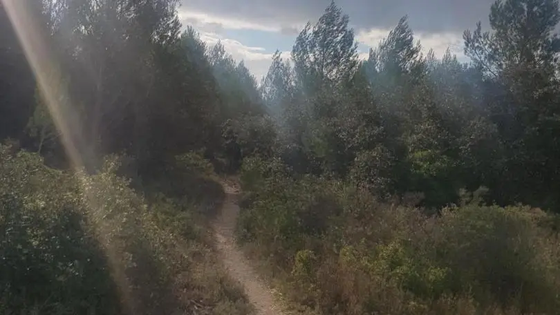 Le petit chemin de randonnée, dans la Montagnette, en Automne