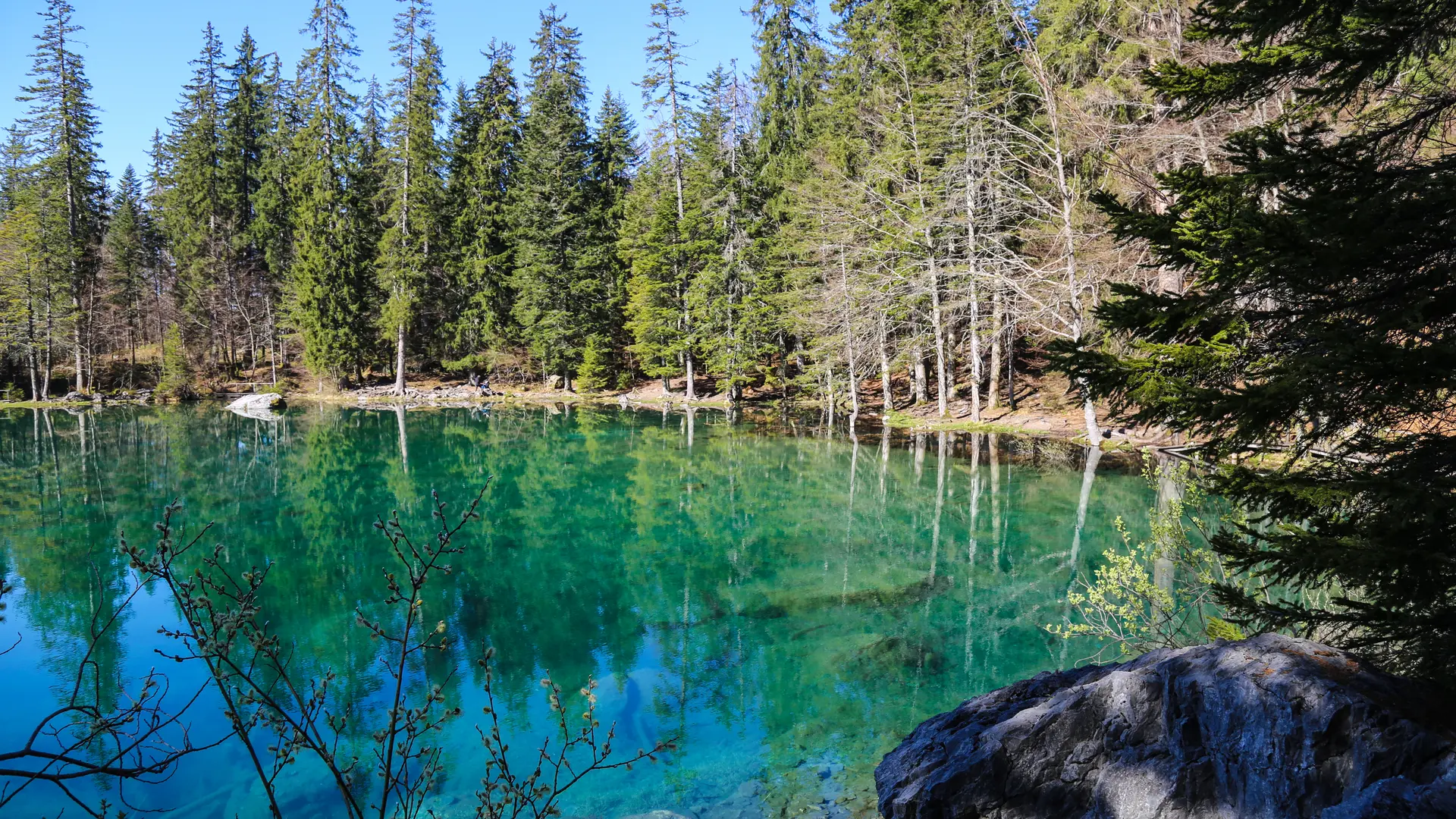 le tour du lac vert -passy