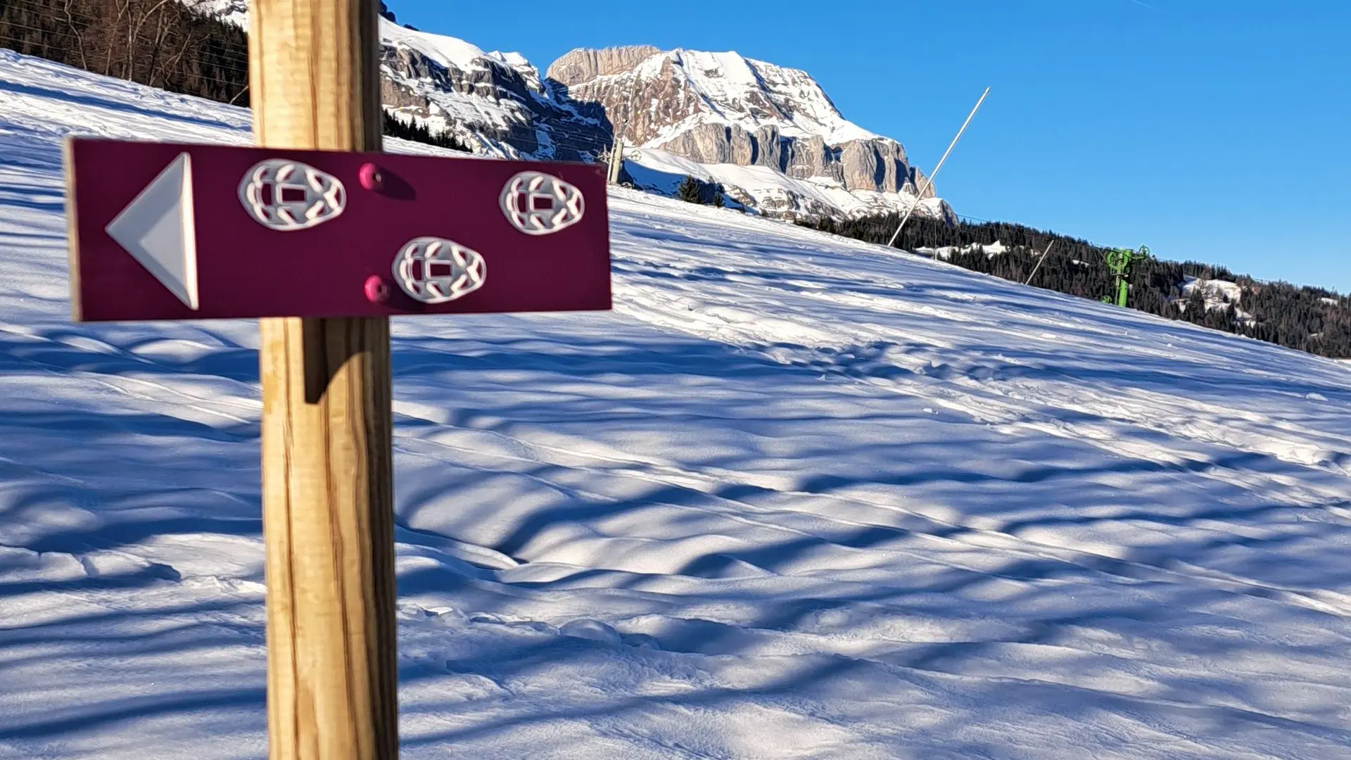 Panneau raquette avec vue des Aravis