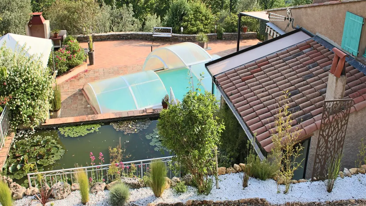 Pond and swimming pool view