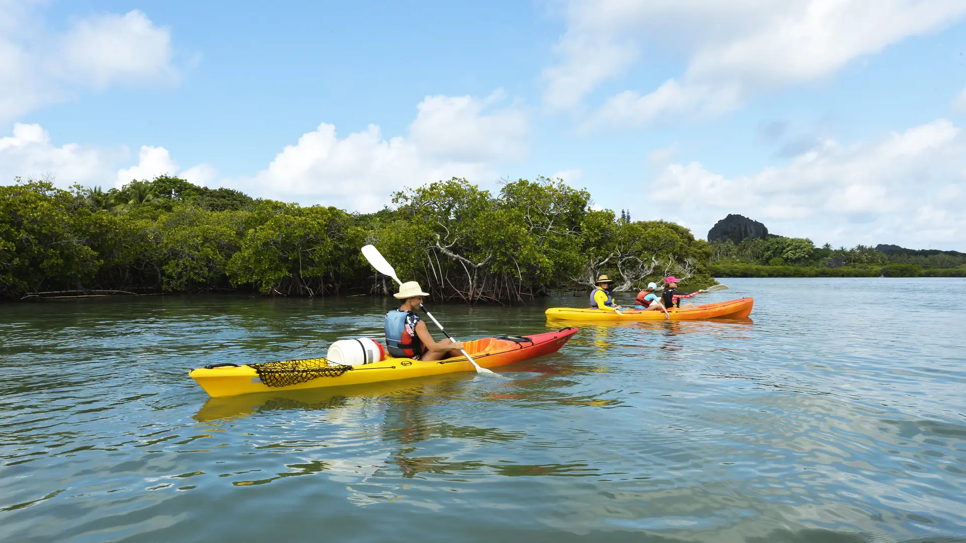 Kayak, mangrove, Hienghène, roches de lindéralique