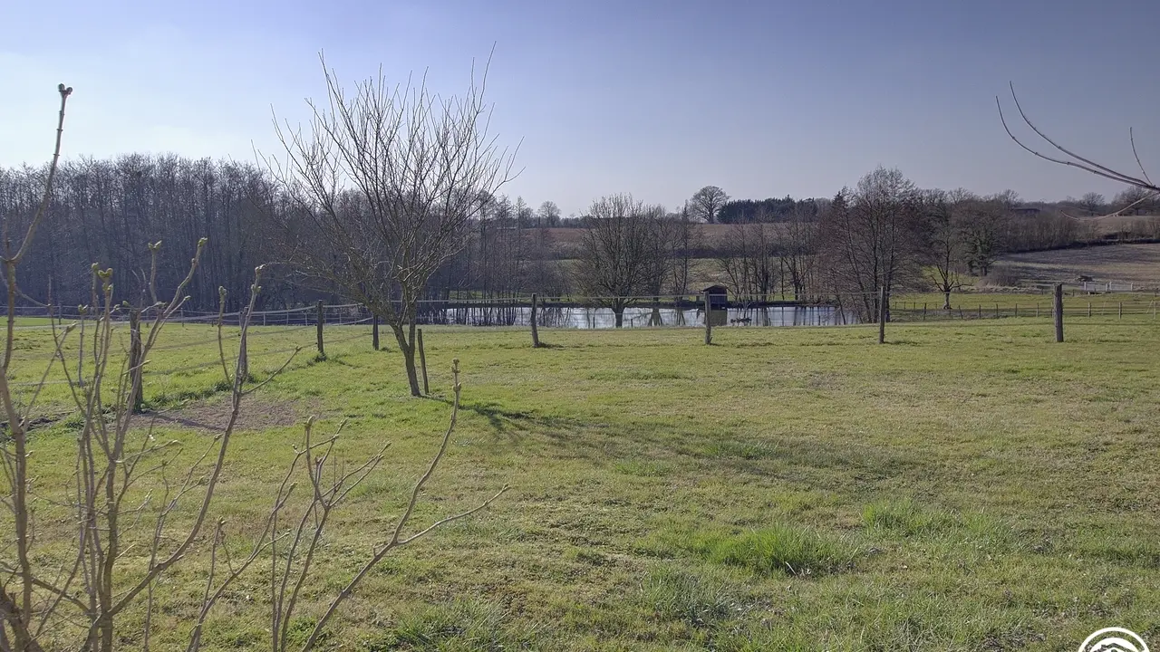 Depuis la cour, une jolie vue sur l'étang (non accessible).