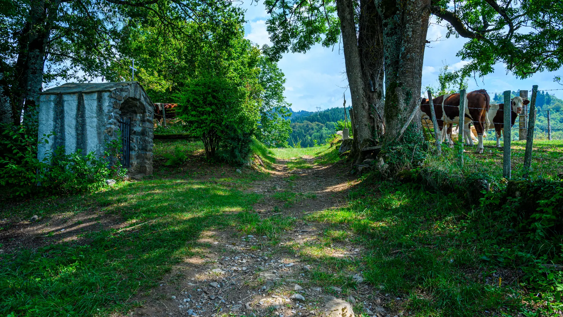 Châtillon sur Cluses