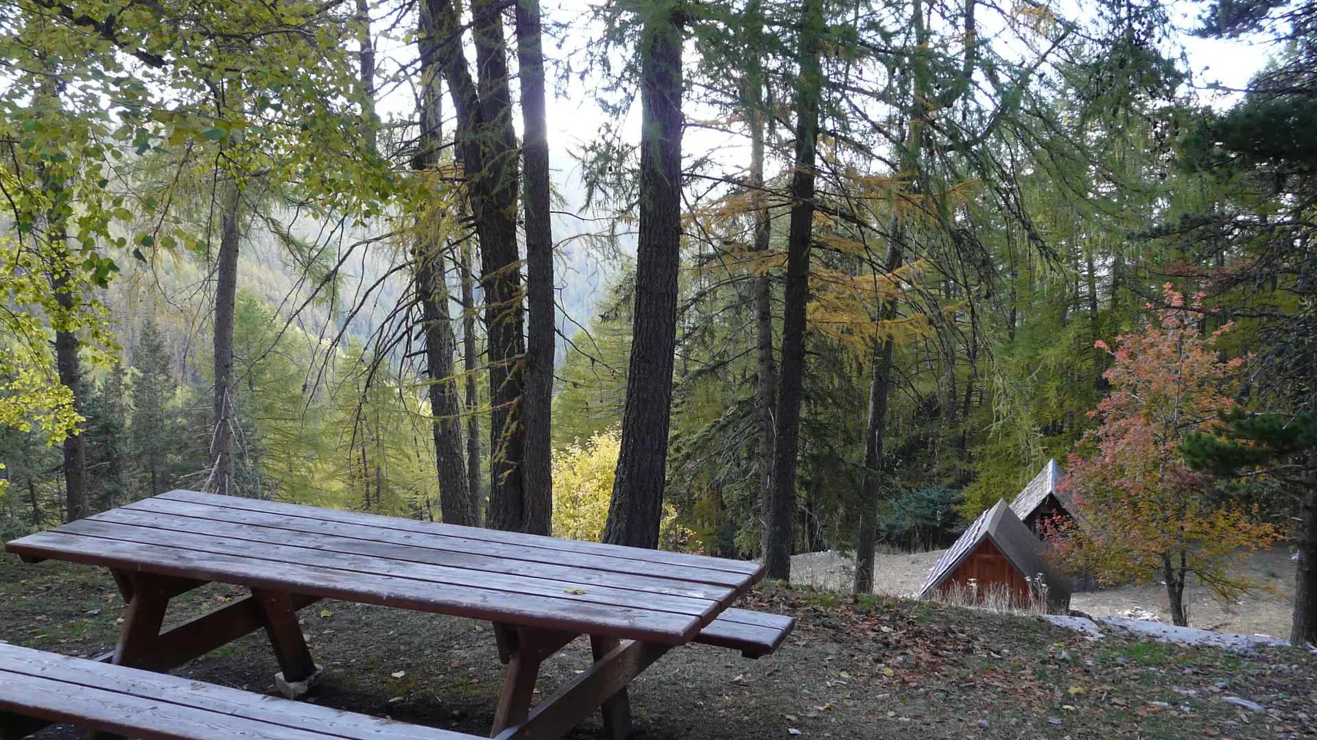 Gîte forestier de Congerman Haut Verdon