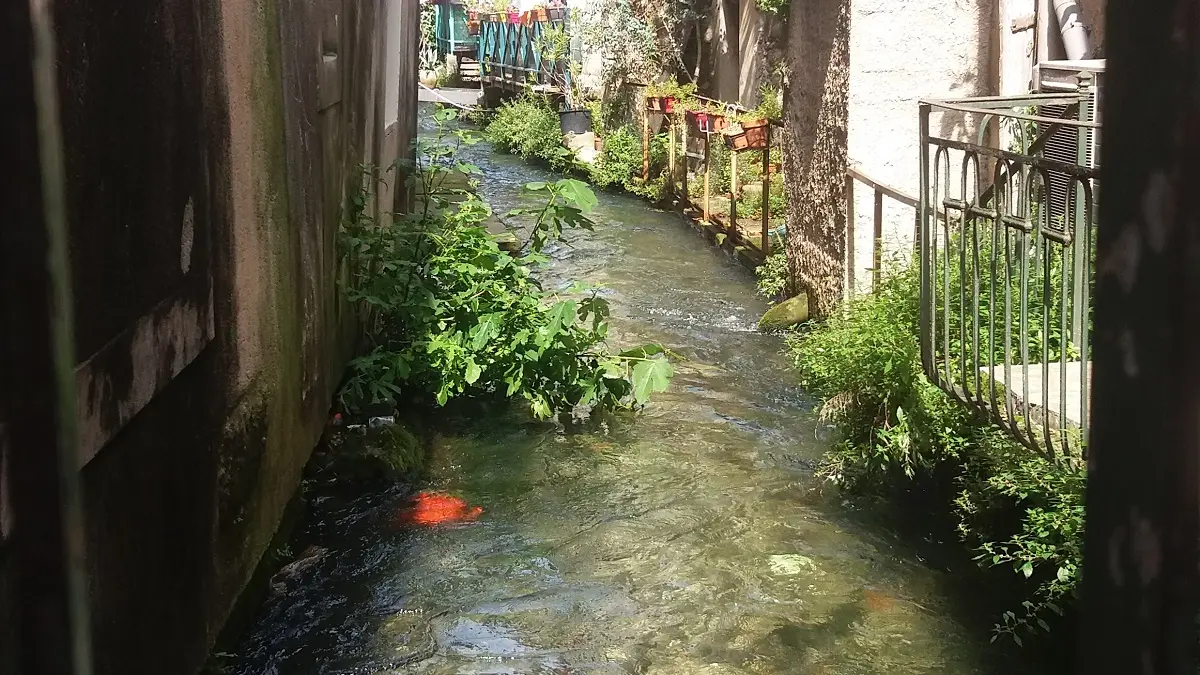 Visites Privées en Provence