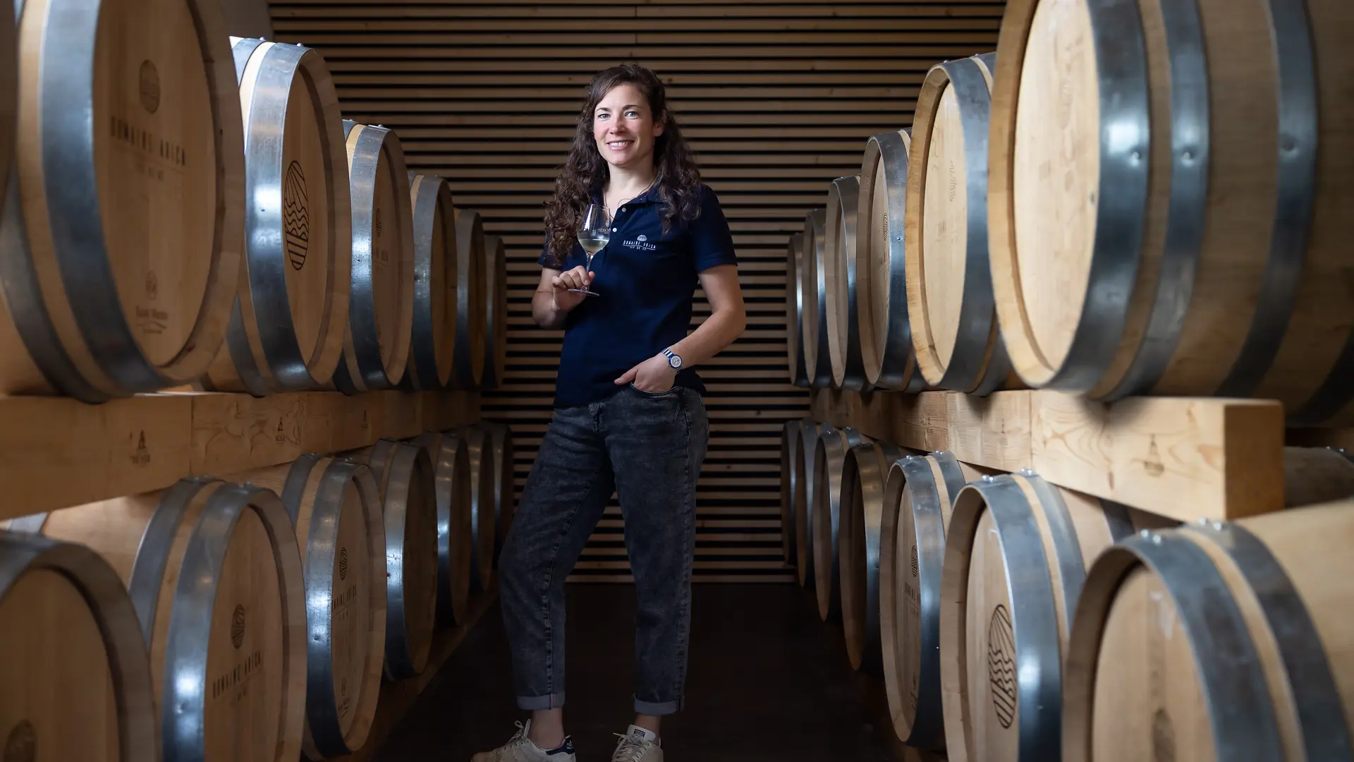 Domaine Arica - Loix