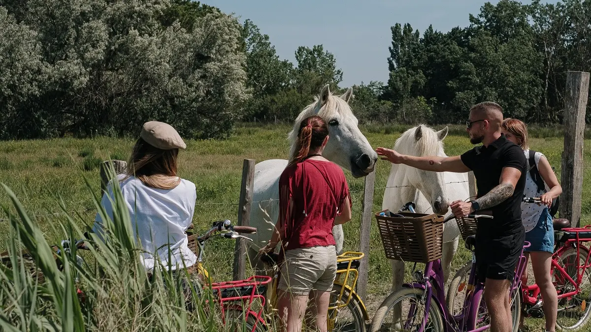 Camargue Autrement