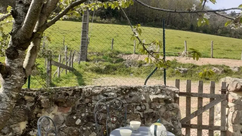 Le jardin