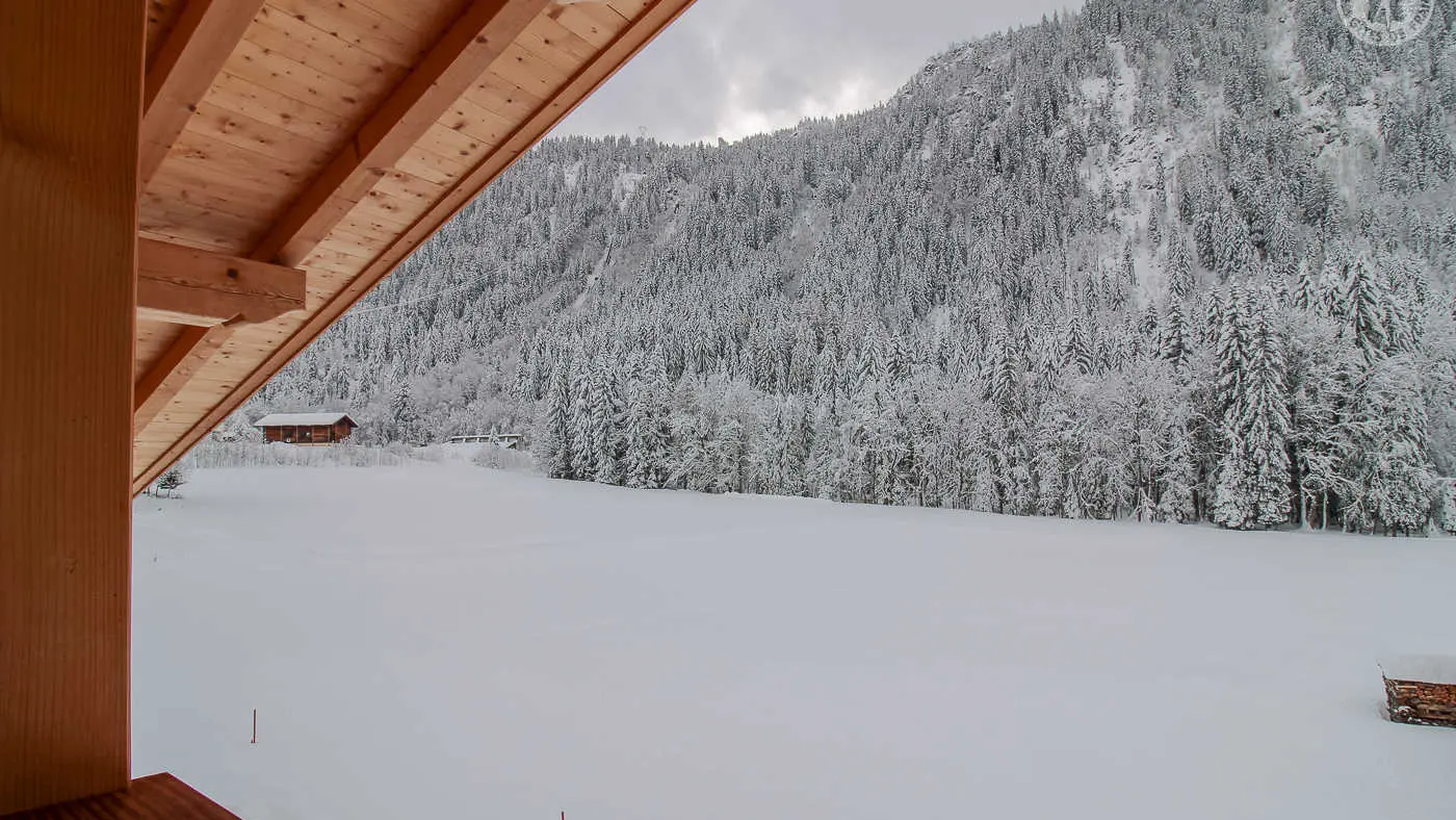 73G132341 - CHALET BELLEVILLE - HAUTELUCE