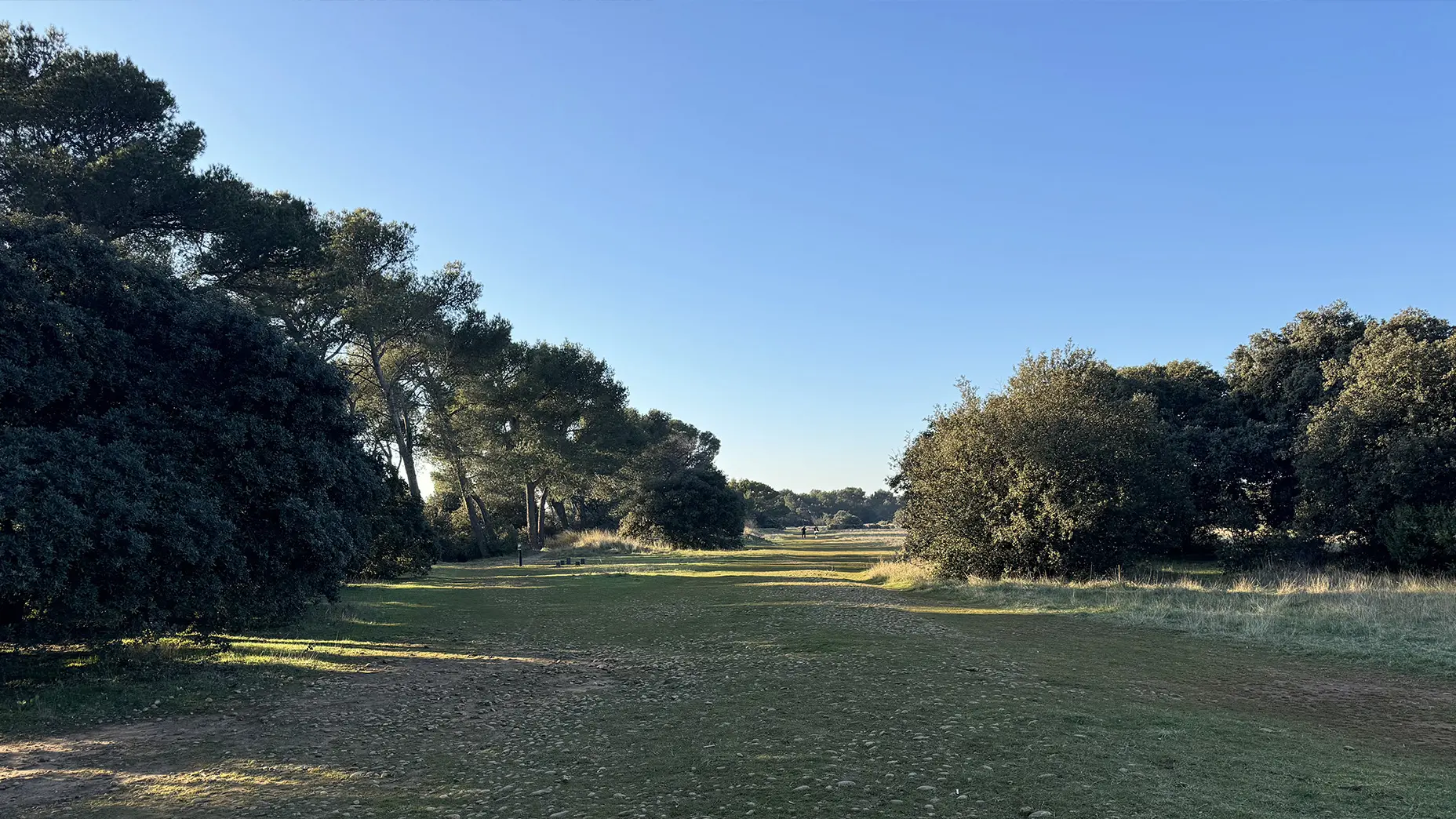Plateau de la crau_Saint-Rémy-de-Provence