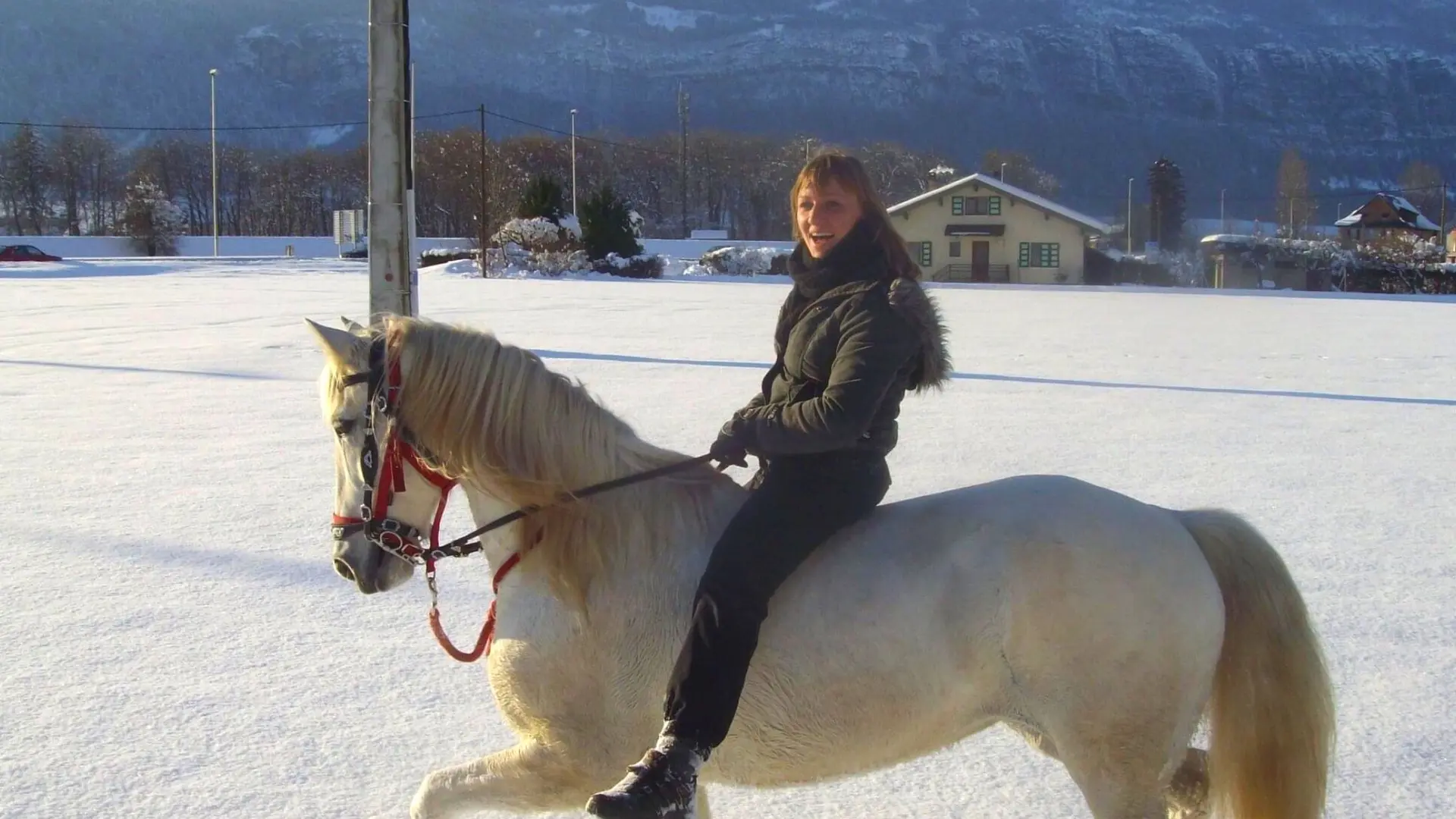 cavalière et cheval dans la neige