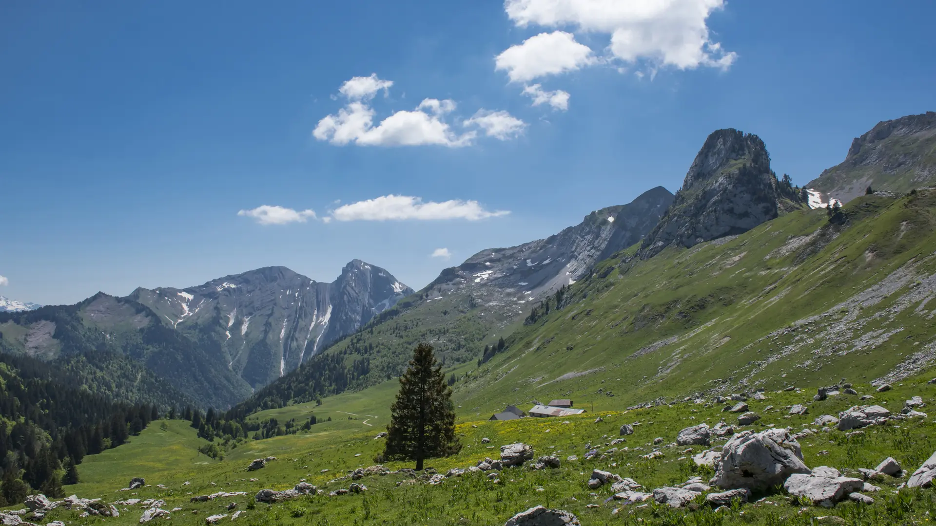 Col d'Orgeval