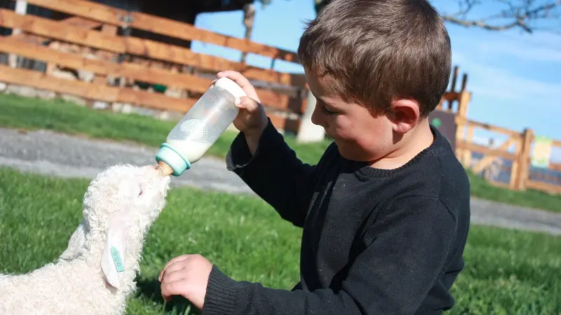 La Ferme du Col JARJAYES