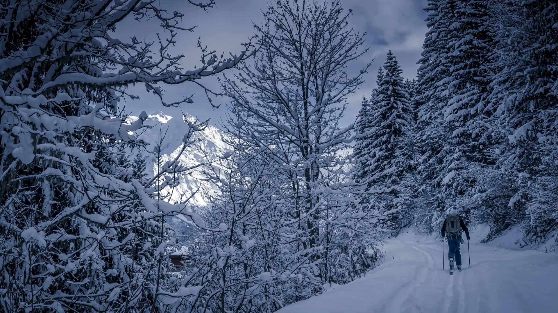 Itinéraire de ski de randonnée - Le Bettex / Sous les Freddys