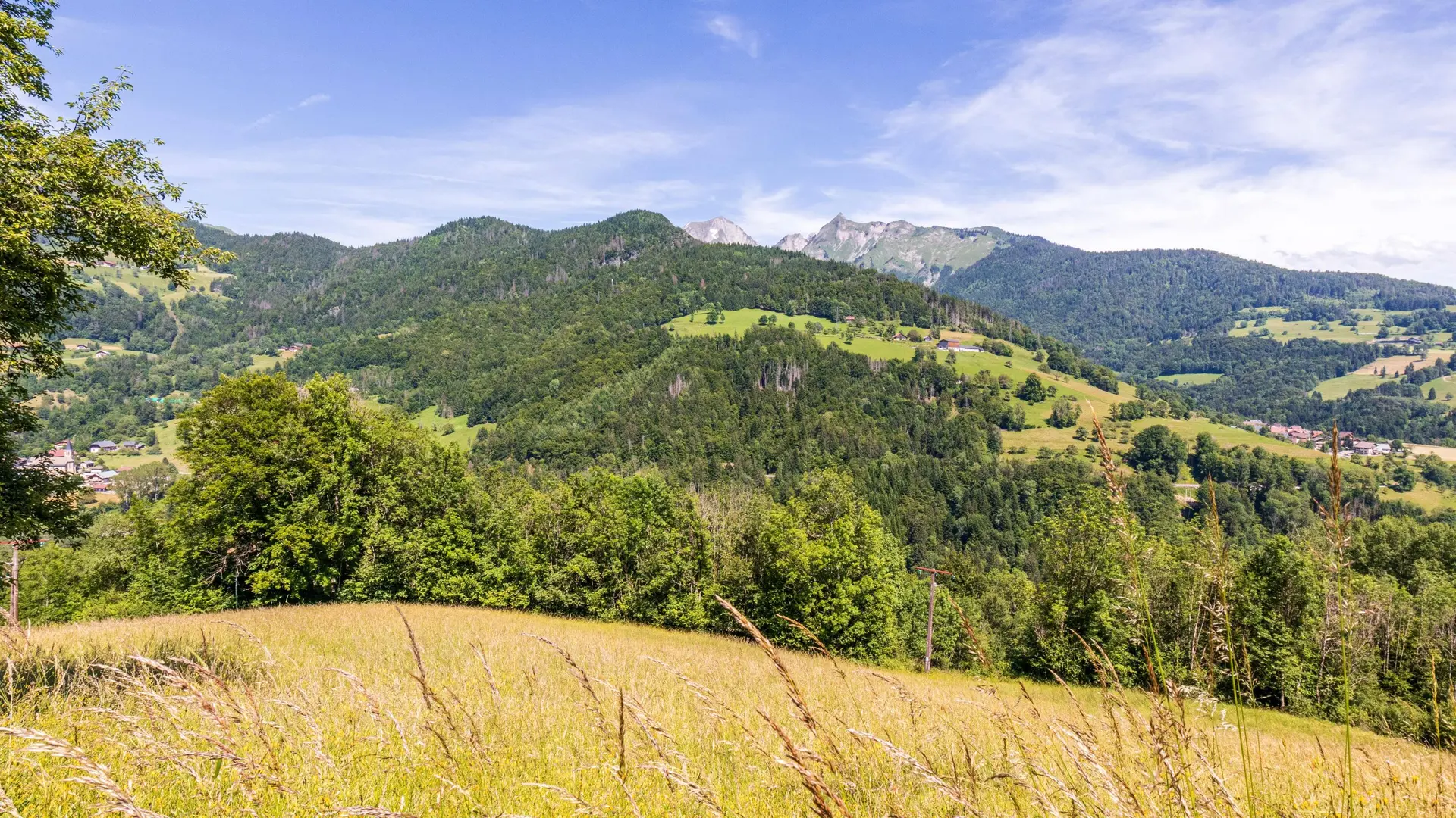 panorama
