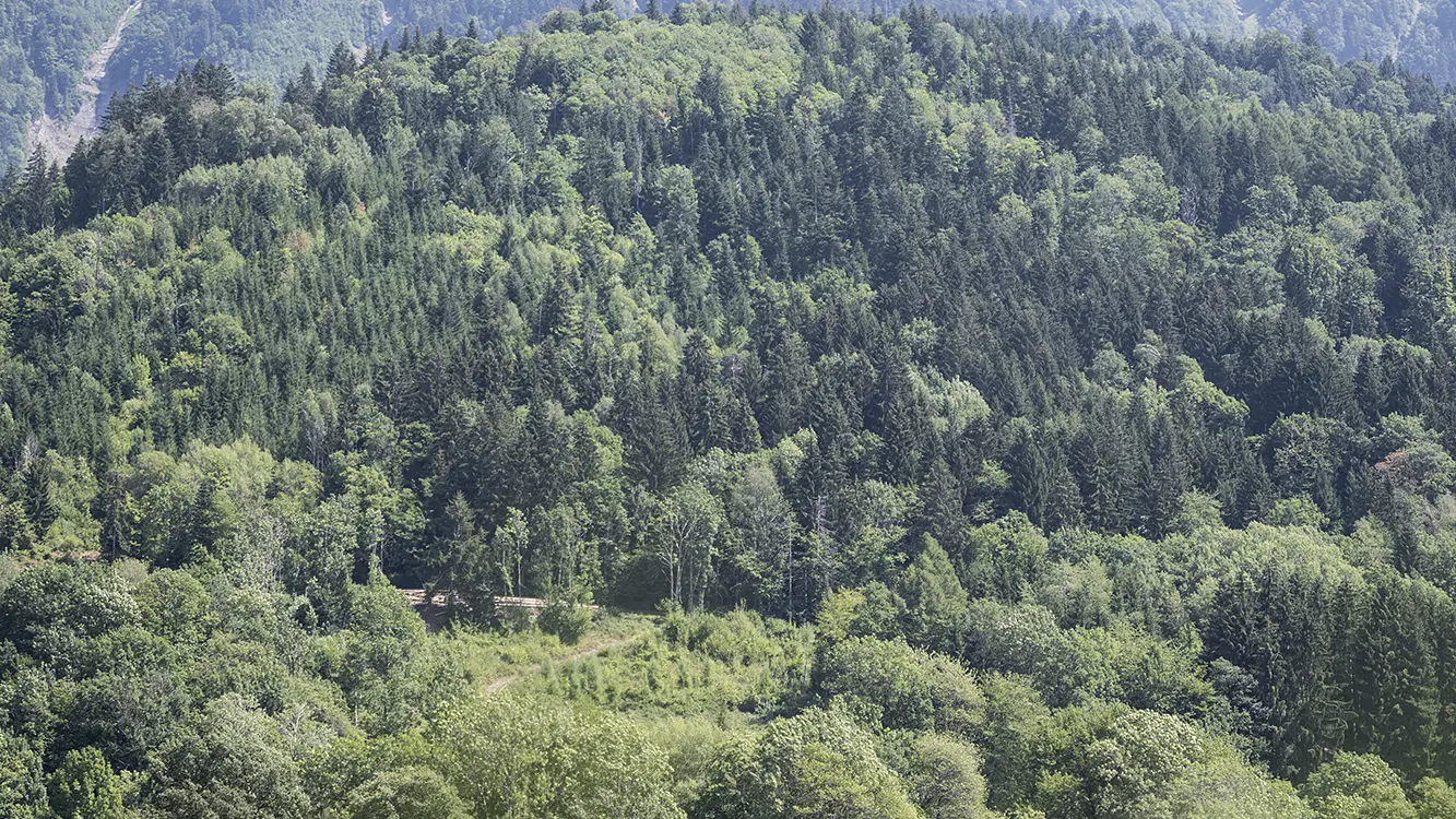 Marche nordique #3 Faverges-Seythenex - Les balcons des Combes_Faverges-Seythenex