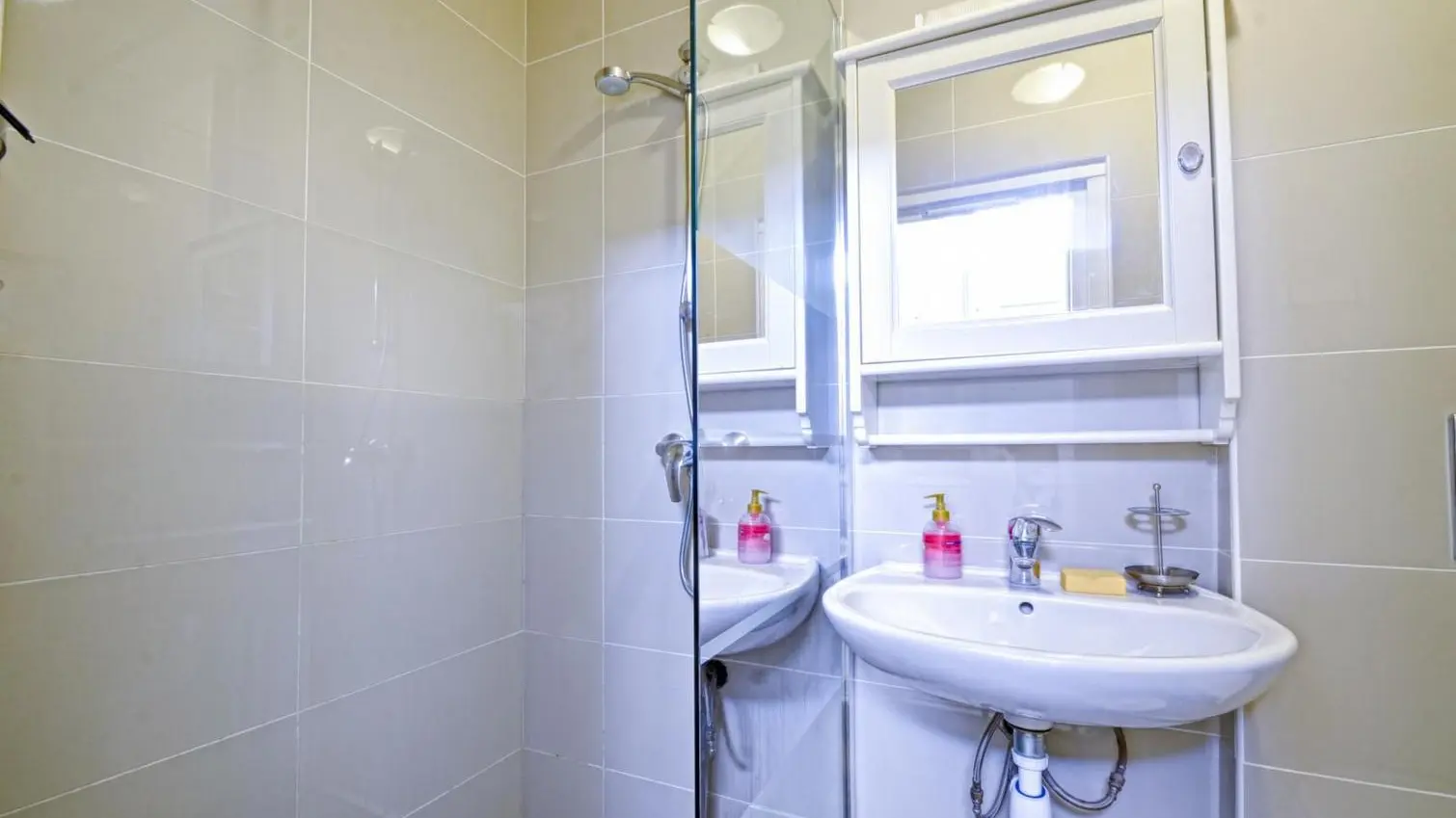 Salle de bains avec douche et WC