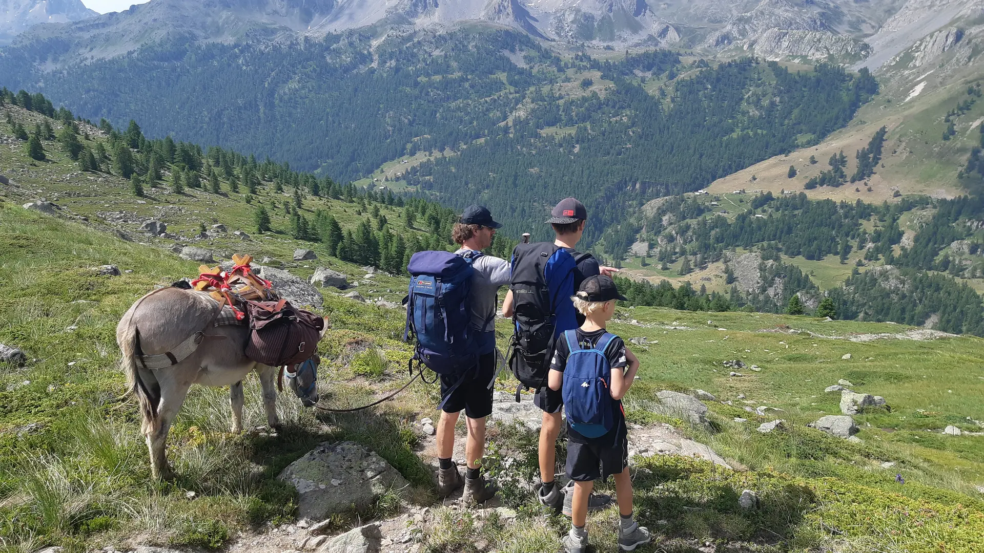 Anes O Montagnes en Clarée