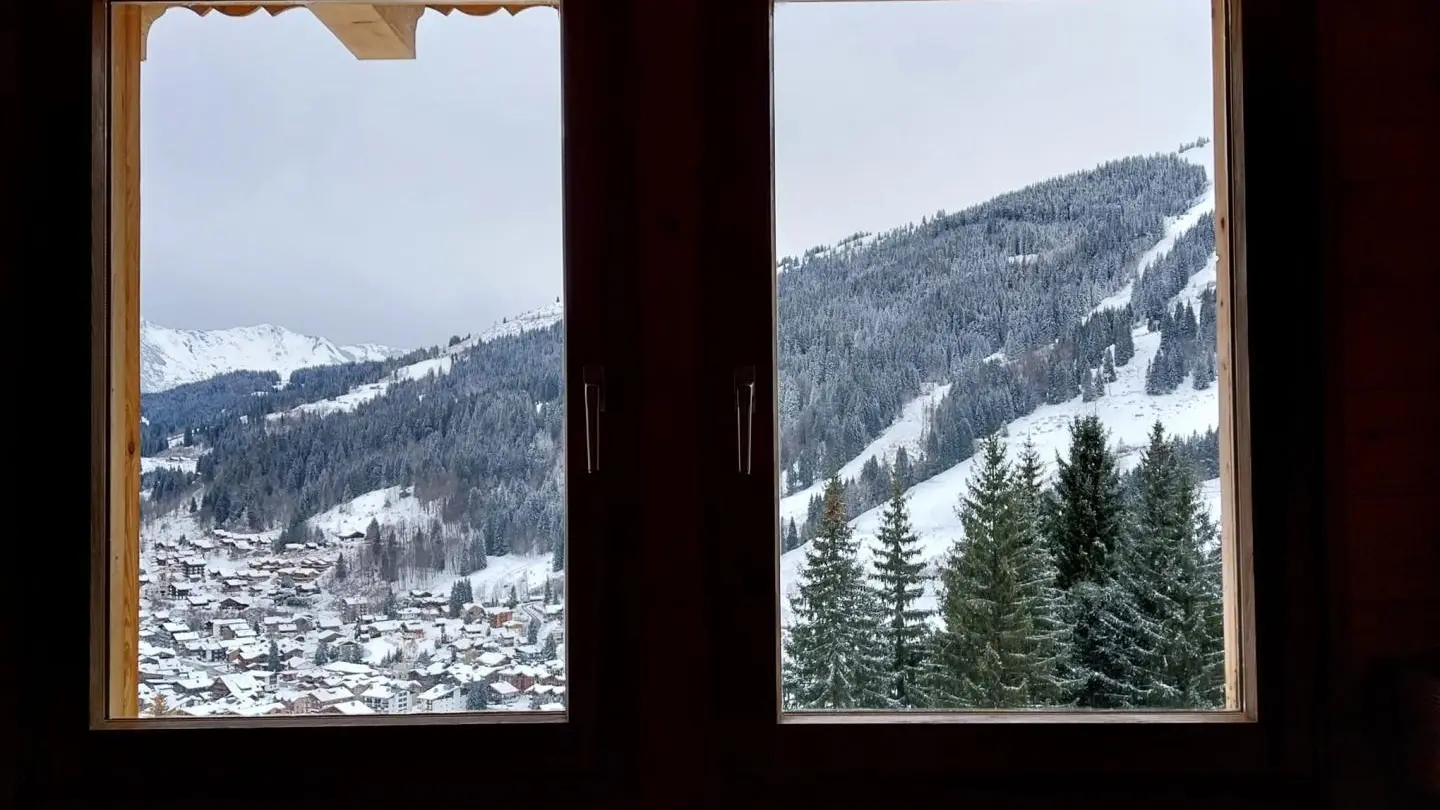 Vue de la fenêtre du salon