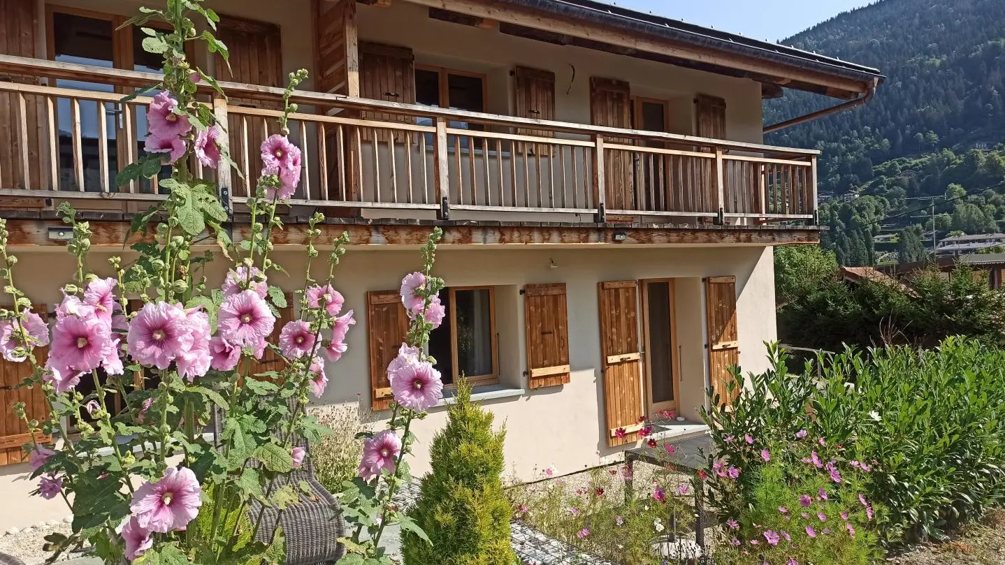 Terrasse plein sud vue massif du Mont Blanc