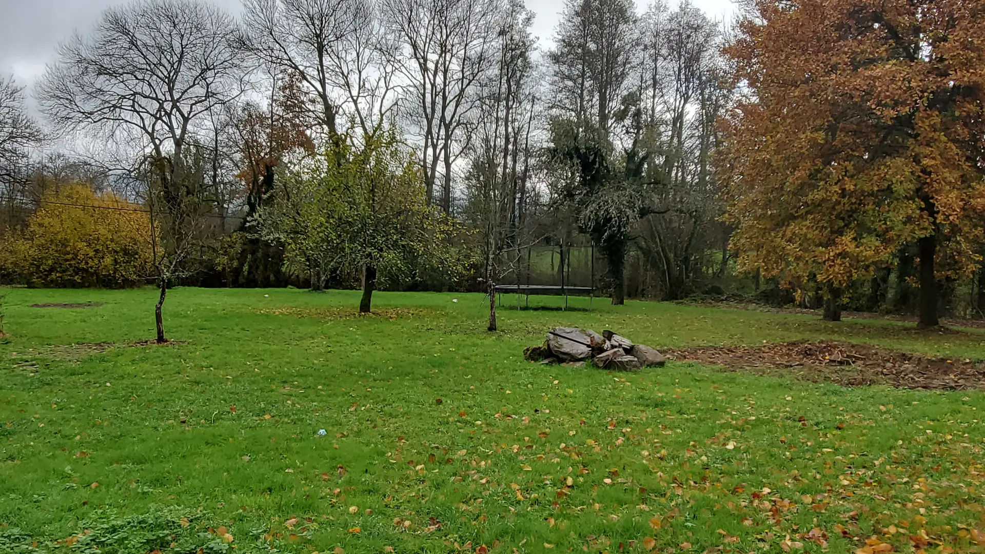 Jardin