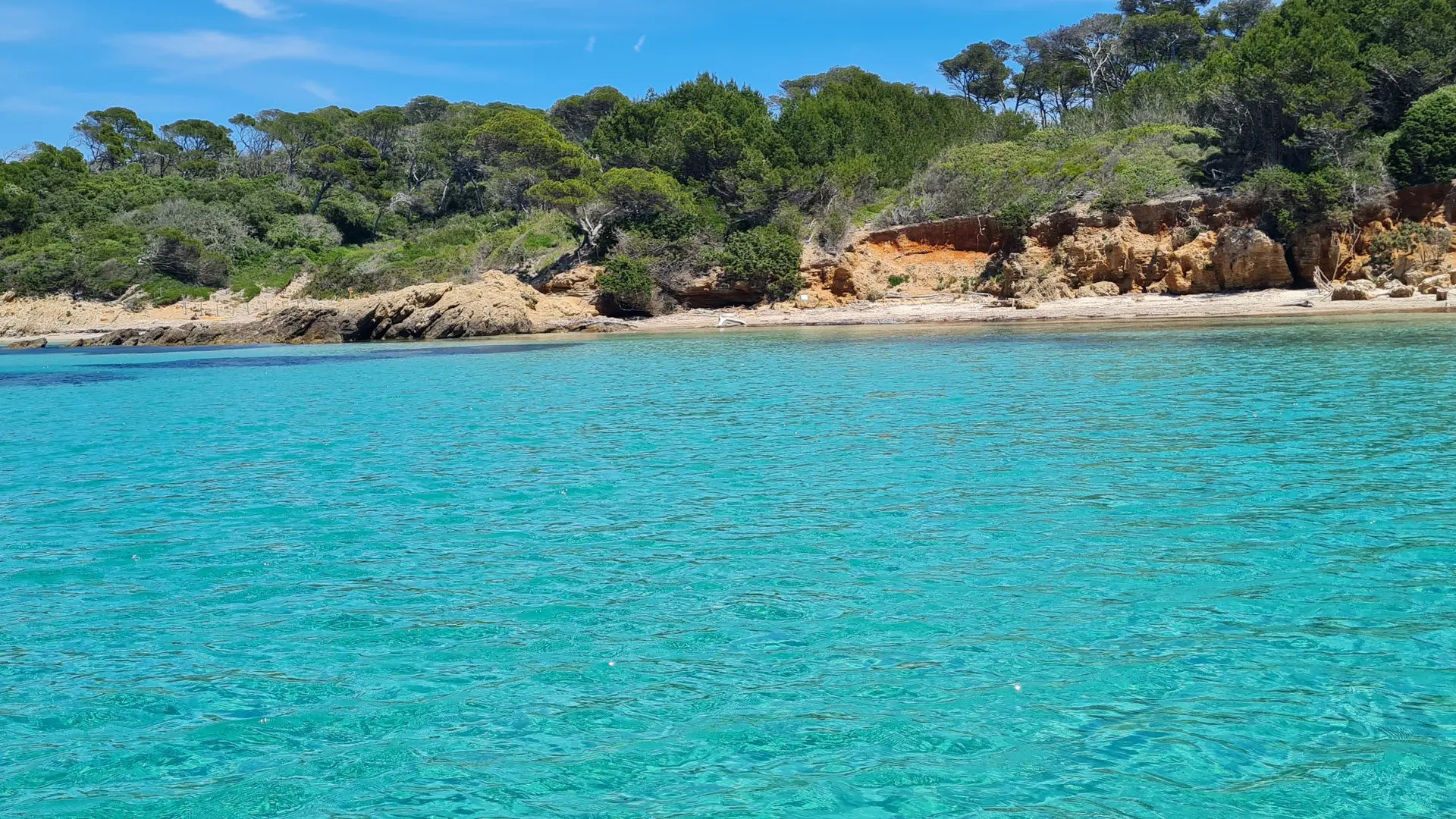 A vous les criques de Porquerolles avec Didier Balor votre capitaine