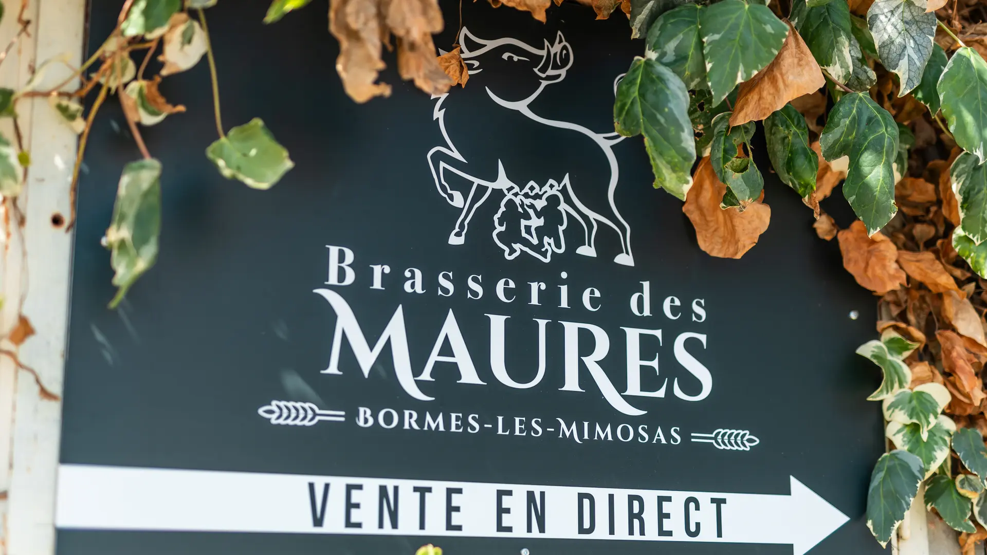 Enseigne Brasserie des Maures