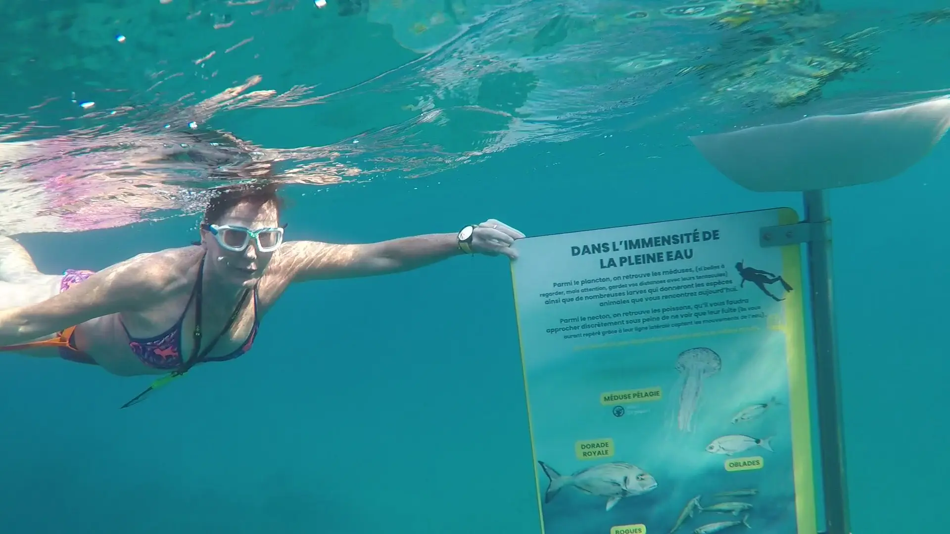 Dans l'immensité de la pleine eau