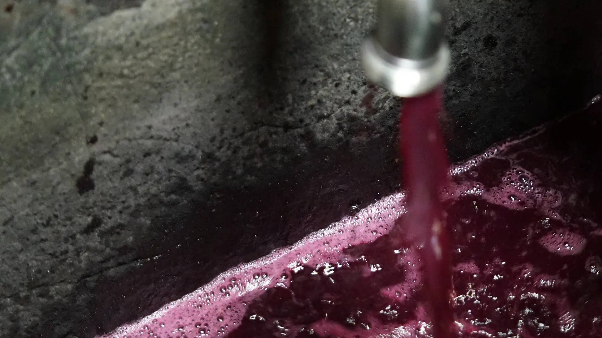 vinification