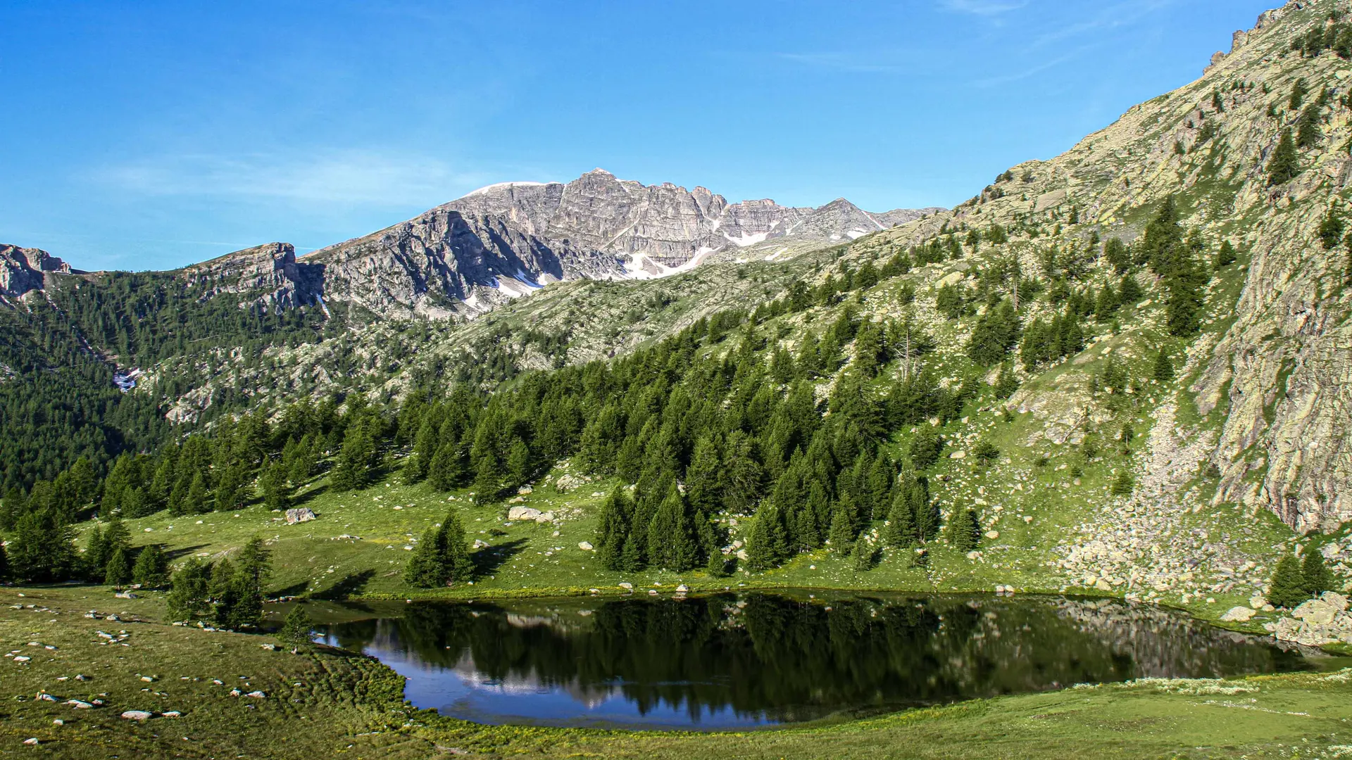 Lac des grenouilles