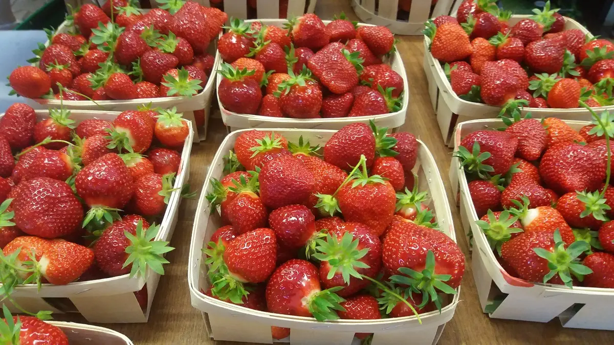 Visites Privées en Provence