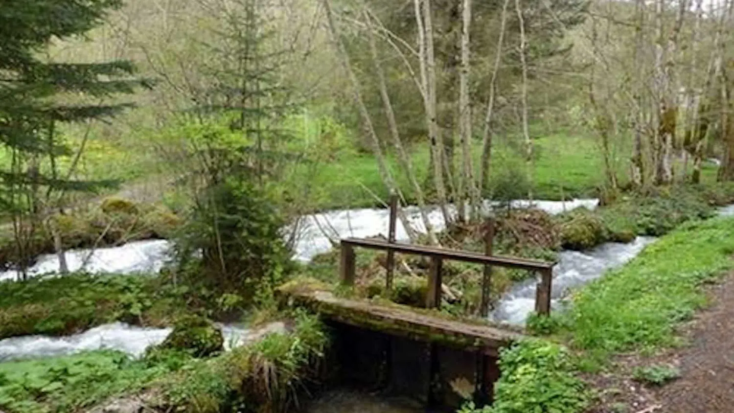 Une balade le long du ruisseau.