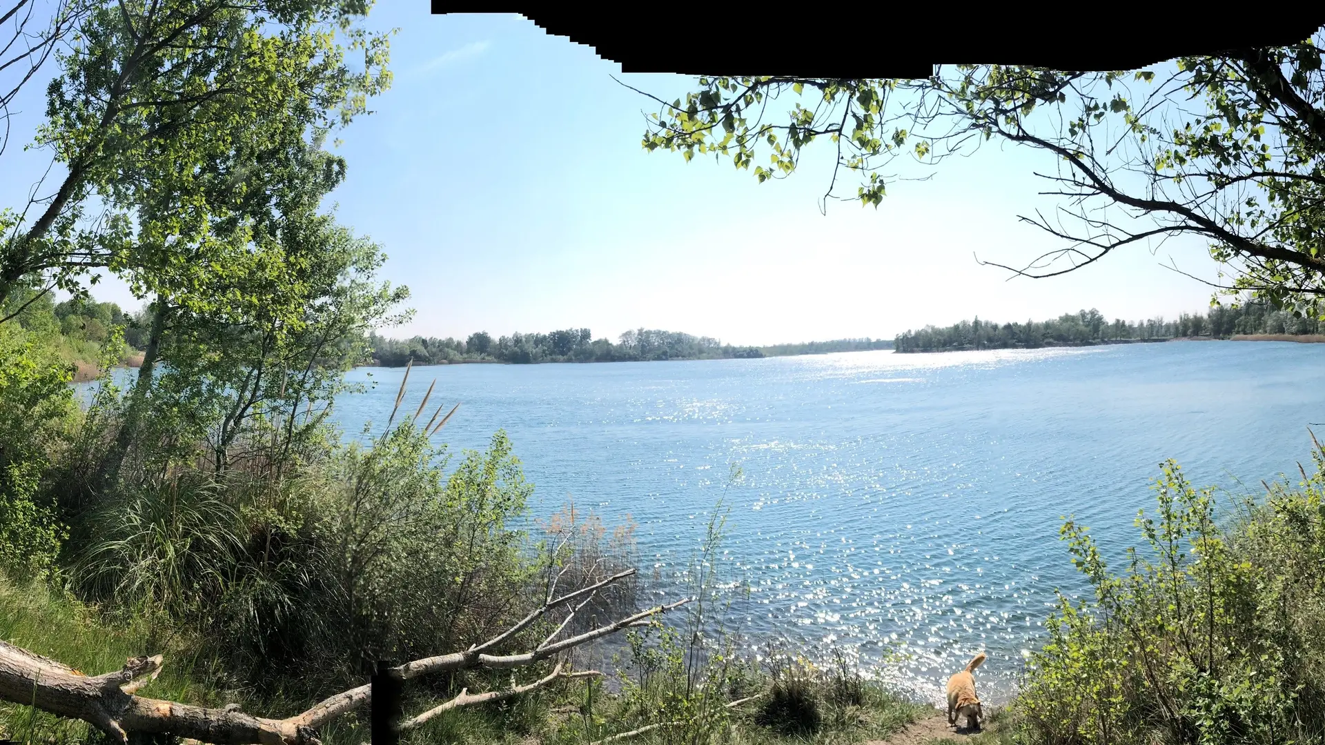 Vue lac Bastide ô naturel