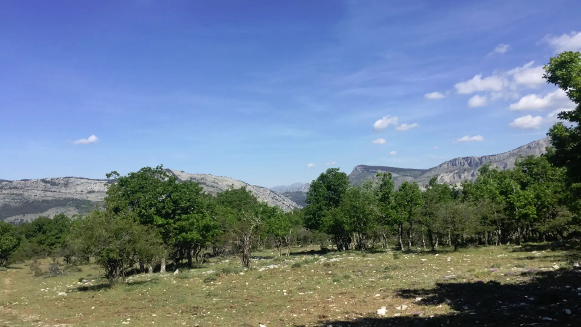 Paysage des Préalpes d'Azur