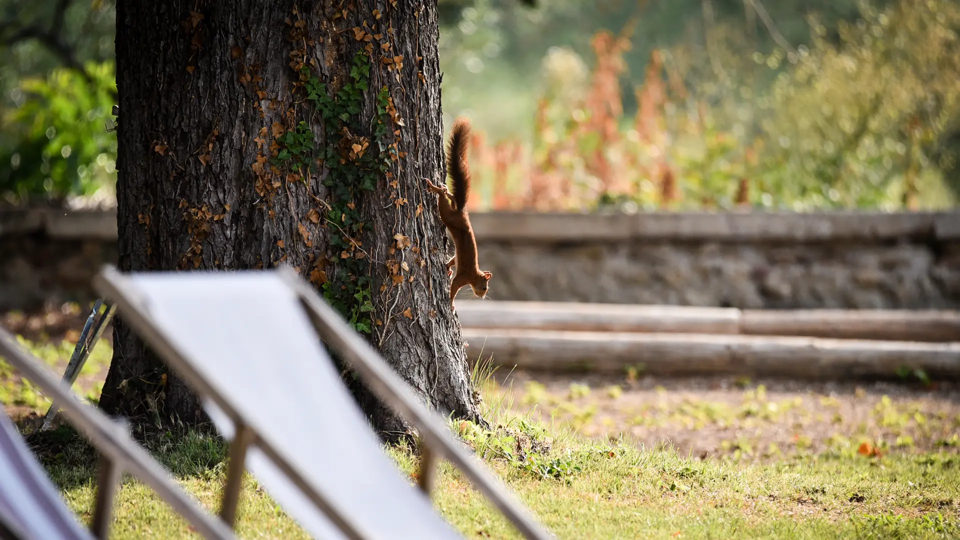 La Bastide de l'Adrech
