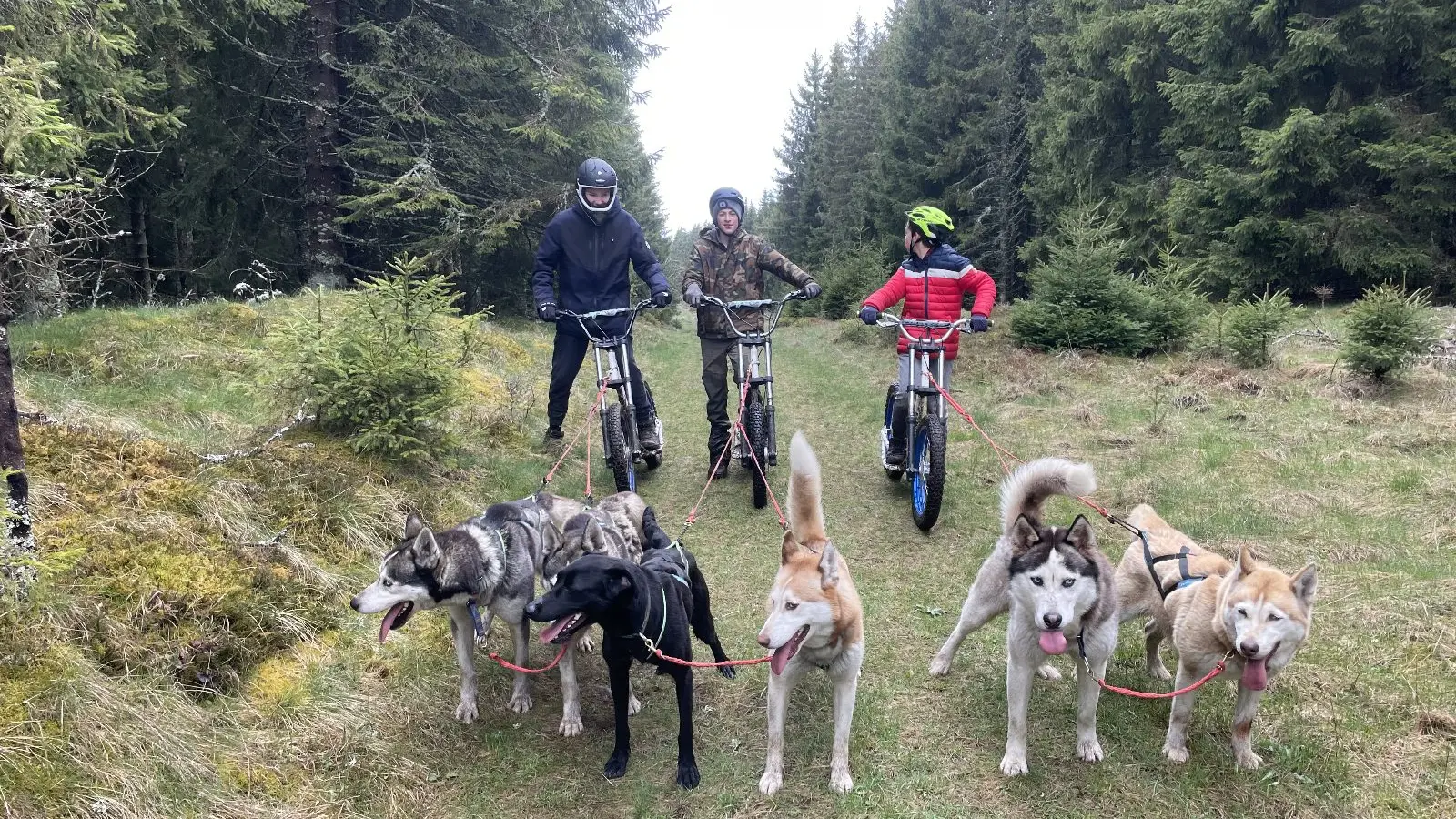 Dog Scooter - Evolution 2_Chamonix-Mont-Blanc