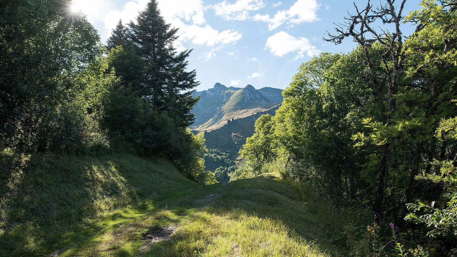 Vue sur le Roc d'Enfer entre le Col de l'Encrenaz et les Paquis