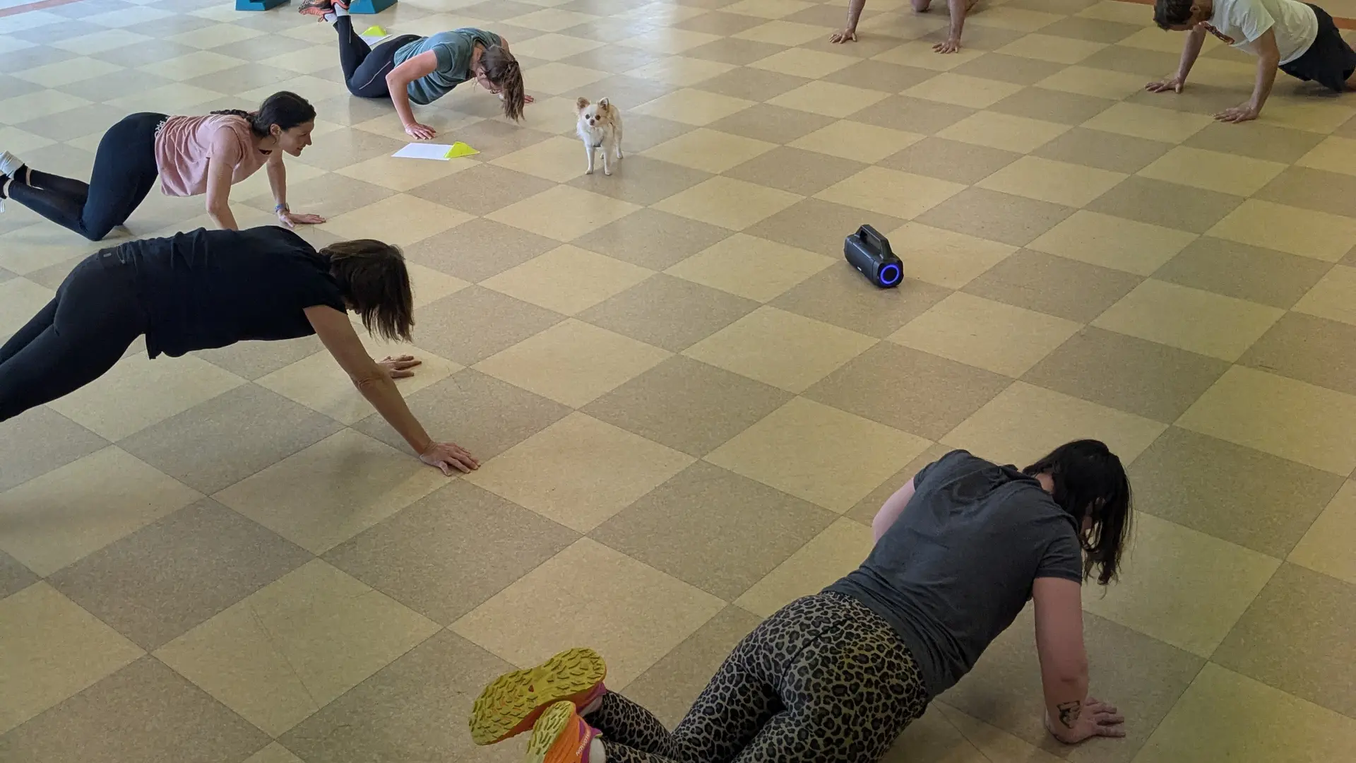 Circuit Training