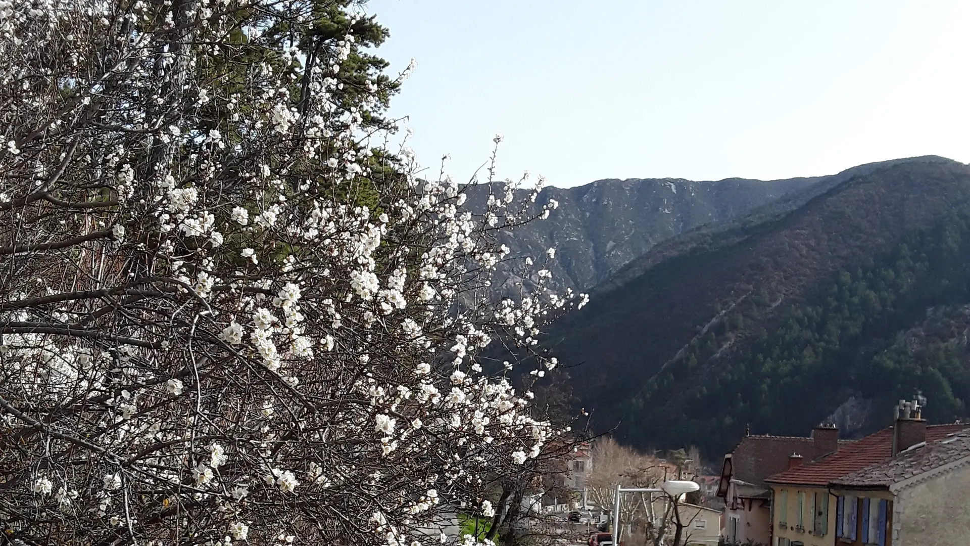 Vue depuis la terrasse