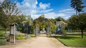Jardin